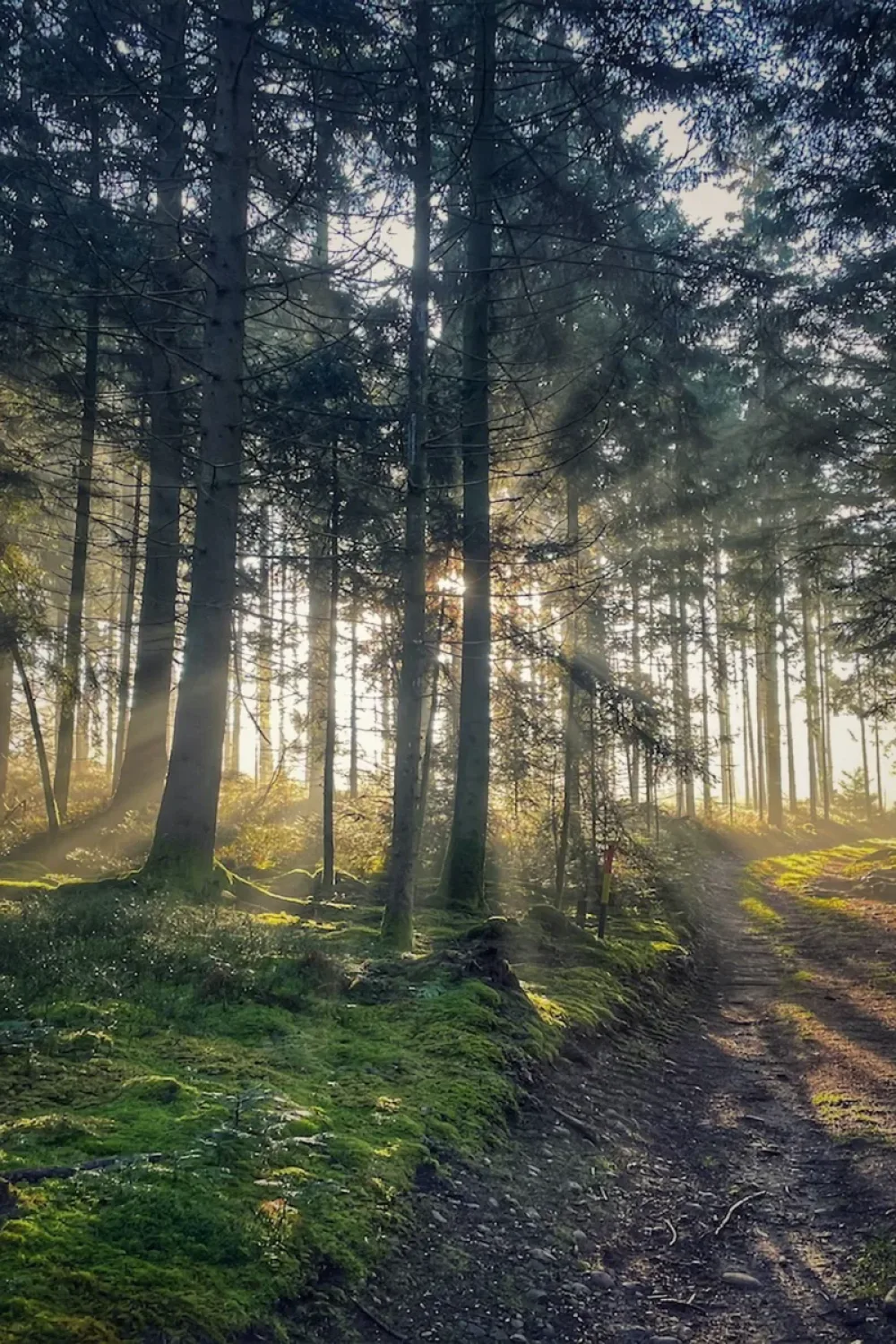 6. Platz - Ernst Huber