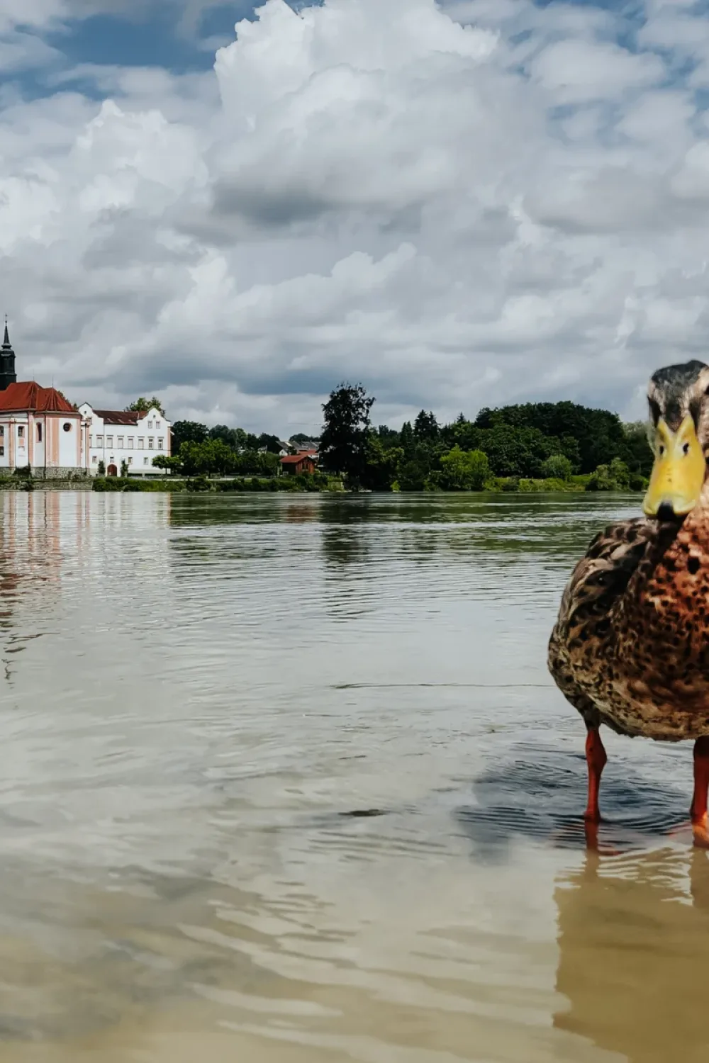 5. Platz - Victoria Haas