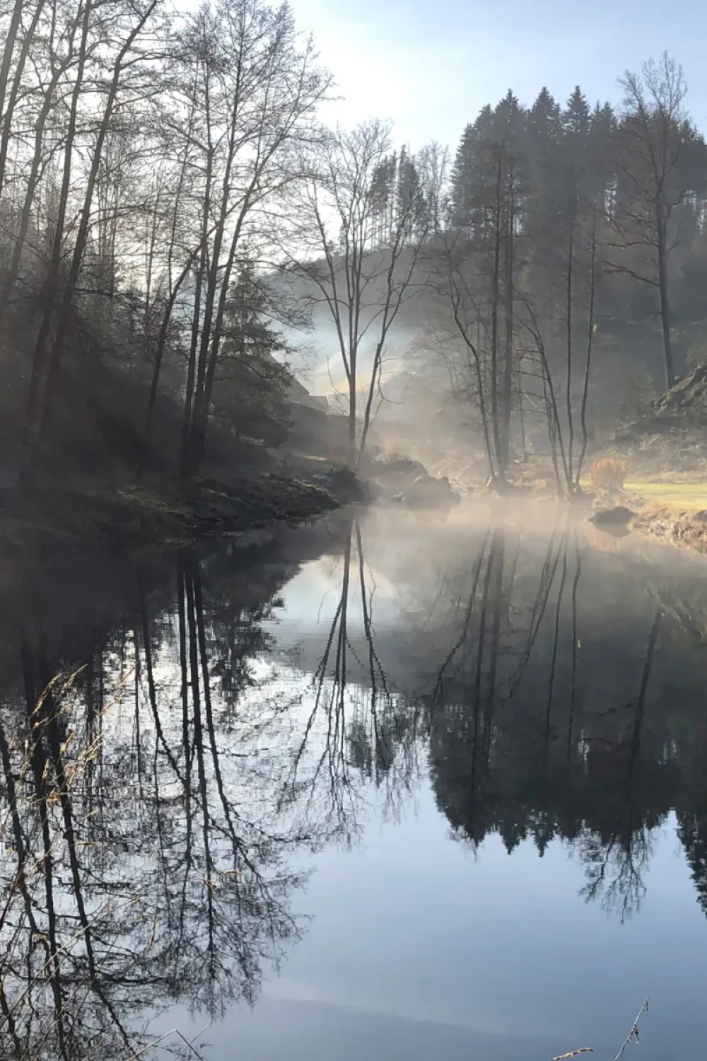 2. Platz - Johann Schererbauer